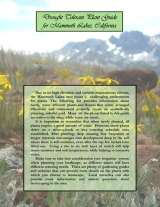 Drought Tolerant Plant Guide
       for Mammoth Lakes, California




   Due to its high elevation and variable mountainous climate,
the Mammoth Lakes area poses a challenging environment
for plants. The following list provides information about
hardy, water efficient plants and flowers that when arranged
effectively and maintained properly, create an aesthetically
pleasing, colorful yard. Many of the plants listed in this guide
are native to the area, while some are exotic.
   It is important to remember that when newly planted, all
plants require a good amount of water. However, these plants
thrive on a twice-a-week or less watering schedule once
established. After planting, deep soaking less frequently at
longer intervals encourages root development deep in the soil
where there is still moisture, even after the top few inches have
dried out. Using a two to six inch layer of mulch will help
retain moisture and soil temperature, while helping to conserve
water.
   Make sure to take into consideration your irrigation system
when planning your landscape, as different plants will have
different watering needs. There are plenty of gardening guides
and websites that can provide more details on the plants with
which you choose to landscape. Local nurseries can also
provide more information and answer questions about
landscaping in the area.
 