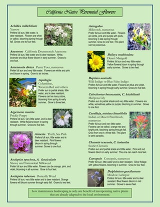 California Native Perennial Flowers

Achillea millefolium                                                  Astragalus
Yarrow                                                                Milkvetch, numerous
Prefers full sun, little water, is                                    Prefer full sun and litlle water. Flowers
deer resistant. Flowers are white                                     are white, pink and purple with pods,
or yellow, blooming spring through                                    blooming in late spring through
fall. Grows one to four feet.                                         summer. Grow to one foot. This plant
                                                                      can be poisonous.

Anemone California Drummonds Anemone
Prefers full sun, little water and is deer resistant. White,                               Baileya multiradata
lavender and blue flower bloom in early summer. Grows to                                   Desert Marigold
one foot.                                                                                  Prefers full sun and very little water.
                                                                                           Yellow flowers bloom in spring through
Antennaria dioica Pussy Toes, numerous                                                     early summer. Grows to two feet.
Prefer full sun and very little water. Flowers are white and pink
and bloom in spring. Grow to six inches.
                                                                      Baptista australis
                                Aquilegia                             Wild Indigo or Blue False Indigo
                                Columbine,                            Prefers full sun and little water. Flowers are blue and violet,
                                Western Red and others                blooming in spring through early summer. Grows to five feet.
                                Prefer sun to partial shade, little
                                water, and is deer resistant.         Calochortus bruneaunis, C. leichtlinaii
                                Flowers can be many colors,
                                blooming from spring to early
                                                                      Mariposa Lily
                                summer. Grow to three feet.           Prefers sun to partial shade and very little water. Flowers are
                                                                      white, sometimes yellow or purple, blooming in summer. Grows
                                                                      to one foot.
Argemone munita                                                       Castilleja, miniata linariifolia
Prickly Poppy                                                         Indian or Desert Paintbrush,
Prefers full sun, very little water, and is deer
resistant. White flowers bloom in spring
                                                                      numerous
through summer. Grows to five feet.                                   Prefer full sun and very little water.
                                                                      Flowers can be yellow, orange-red and
                                                                      bright pink, blooming spring through fall.
                                                                      Grow from one t o three feet. This plant
                            Armeria Thrift, Sea Pink                  is semi parasitic.
                            Prefers full sun, little water and is
                            deer resistant. Pink flowers
                            bloom in spring through                   Clematis texensis, C. lasiantha
                            summer. Grows to one foot.                Scarlet Clematis
                                                                      Prefers sun and partial shade and little water. Pink and red
                                                                      flowers bloom in early summer. This vine can reach nine feet.

Asclepias speciosa, A. fascicularis                                   Coreopsis Coreopsis, numerous
Showy and Narrowleaf Milkweed                                         Prefer full sun, little water and is deer resistant. Silver foliage
                                                                      with yellow flowers, blooming in summer. Grow to four feet.
Prefer full sun and little water. Flowers can be orange, pink, and
violet, blooming in all summer. Grow to four feet.
                                                                                           Delphinium gracilentum
Asclepias tuberose Butterfly Weed                                                          Meadow Larkspur
                                                                                           Prefers full sun, little water and is deer
Prefers full sun, very little water and is deer resistant. Orange
                                                                                           resistant. Blue flowers bloom in mid
flowers will bloom summer through early fall. Grows to two feet.
                                                                                           summer. Grows to seven feet.

                        Low maintenance landscaping is only one benefit of incorporating native plants
                                    that are already adapted to the local environment.
 