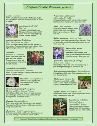 California Native Perennial Flowers

Liatris Gayfeather                                                   Polemonium californicum
Prefers sun, partial shade and shade with little water. Purple       California Jacob's Ladder
and fuchsia flowers bloom from mid summer to early fall. Grows       Prefers partial shade, very little water and is deer resistant.
to four feet.                                                        Blue flowers bloom in early summer. Grows to one foot.

                       Linum perenne lewisii                         Salvia Sage, numerous
                       Blue Flax                                     Prefer full sun, very little water and is deer
                        Prefers sun and partial shade, very          resistant. Blue, purple or pink flowers
                       little water and is deer resistant. Violet    bloom in spring and summer. Grow to
                       flowers bloom from late spring through        three feet.
                       summer. Grows to three feet.
                                                                     Sedum obtusatum Stonecrop, Sierra
Lupinus argentius, L. albifrons                                      Prefers sun, partial shade or shade, and very little water. Flow-
Silver Bush Lupine and others                                        ers can be yellow or pink, blooming in spring through summer.
Prefers sun, partial shade and shade, very little water and is       Grows to one foot.
deer resistant. Flowers can be yellow, purple and blue, bloom-
ing from spring to mid summer. Grows to five feet.                                         Sisyrinchium bellum
                                                                                           Blue Eyed Grass
Monarda                                                                                     Prefers fun sun and little water. Blue,
Bee Balm or Horsemint                                                                       purple, or white flowers bloom from spring
Prefers sun to partial shade, little                                                        through late summer. Grows to one foot.
water, and is deer resistant.
Flowers can be red, white, pink                                      Sphaeralcea angustifolia, S. ambigua
or purple, blooming in mid summer.
Grows to three feet.
                                                                     Apricot Globe Mallow
                                                                     Prefers full sun and very little water. Flower s are orange or
                                                                     pink, blooming from spring to fall. Grows to six feet.
Monardella odoratissima
Mountain Pennyroyal or Coyotemint                                    Sphenosciatum capitellatum Rangers Buttons
Prefers full sun and little water. Lavender flowers bloom in mid     Prefers full sun and little water. White flowers bloom in the sum-
summer. Grows to one foot.                                           mer. Grows to four feet.

                        Oenothera Evening Primrose                   Thaliactrum Meadow Rue
                        Prefers full sun and very little water.      Prefers sun to partial shade and little
                        Yellow flowers bloom in summer.              water. Lavender and pink flowers bloom
                        Grows to six feet.                           in spring. Grows from three to four feet.

Oenothera belandieri, O. caespitosa
Mexican and White Evening Primrose                                   Wyethia mollis Wooly Mule’s Ears
Prefer full sun and little water. Flowers are white, sometimes       Prefers full sun and little water. Flowers are yellow and bloom in
pink , blooming in summer. Grow one to two feet. Mexican             spring. Grows from one to two feet.
Evening Primrose is considered invasive.

                                                                                                 Zauschneria, epilobium
Paeonia Herbaceous Peony                                                                         California Fuchsia or
Prefers sun to partial shade, little water and is deer resistant.
Flowers can be white, pink, deep red and lavender, blooming in                                   Hummingbird's Trumpet
spring. Grows to four feet.                                                                       Prefers sun, little water and is deer
                                                                                                  resistant. Red or pink flowers bloom
                                                                                                  in early fall. Can grow one to five feet.
Penstemon Beard Tounge, numerous
Prefer sun to partial shade and little water. Flowers can be vari-
ous colors, blooming in early summer. Grow to four feet.

                        Extremely drought tolerant plants will need water about once every two weeks.
 