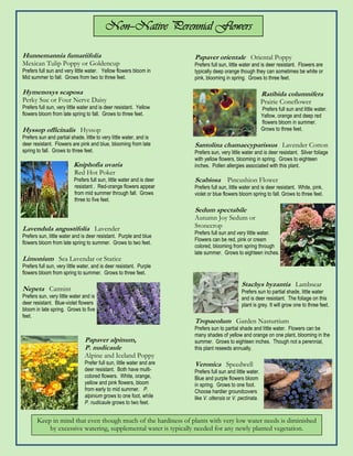 Non—
                                          Non—Native Perennial Flowers

Hunnemannia fumariifolia                                                Papaver orientale Oriental Poppy
Mexican Tulip Poppy or Goldencup                                        Prefers full sun, little water and is deer resistant. Flowers are
Prefers full sun and very little water. Yellow flowers bloom in         typically deep orange though they can sometimes be white or
Mid summer to fall. Grows from two to three feet.                       pink, blooming in spring. Grows to three feet.

Hymenoxys scaposa                                                                                            Ratibida columnifera
Perky Sue or Four Nerve Daisy                                                                                Prairie Coneflower
Prefers full sun, very little water and is deer resistant. Yellow                                            Prefers full sun and little water.
flowers bloom from late spring to fall. Grows to three feet.                                                 Yellow, orange and deep red
                                                                                                             flowers bloom in summer.
Hyssop officinalis Hyssop                                                                                    Grows to three feet.
Prefers sun and partial shade, little to very little water, and is
deer resistant. Flowers are pink and blue, blooming from late           Santolina chamaecyparissus Lavender Cotton
spring to fall. Grows to three feet.                                    Prefers sun, very little water and is deer resistant. Silver foliage
                                                                        with yellow flowers, blooming in spring. Grows to eighteen
                          Kniphofia uvaria                              inches. Pollen allergies associated with this plant.
                          Red Hot Poker
                          Prefers full sun, little water and is deer    Scabiosa Pincushion Flower
                          resistant . Red-orange flowers appear         Prefers full sun, little water and is deer resistant. White, pink,
                          from mid summer through fall. Grows           violet or blue flowers bloom spring to fall. Grows to three feet.
                          three to five feet.
                                                                        Sedum spectabile
                                                                        Autumn Joy Sedum or
Lavendula angustifolia Lavender                                         Stonecrop
                                                                        Prefers full sun and very little water.
Prefers sun, little water and is deer resistant. Purple and blue
                                                                        Flowers can be red, pink or cream
flowers bloom from late spring to summer. Grows to two feet.
                                                                        colored, blooming from spring through
                                                                        late summer. Grows to eighteen inches.
Limonium Sea Lavendar or Statice
Prefers full sun, very little water, and is deer resistant. Purple
flowers bloom from spring to summer. Grows to three feet.

                                                                                                Stachys byzantia Lambsear
Nepeta Catmint                                                                                  Prefers sun to partial shade, little water
Prefers sun, very little water and is                                                           and is deer resistant. The foliage on this
deer resistant. Blue-violet flowers                                                             plant is grey. It will grow one to three feet.
bloom in late spring. Grows to five
feet.
                                                                        Tropaeolum Garden Nasturtium
                                                                        Prefers sun to partial shade and little water. Flowers can be
                                                                        many shades of yellow and orange on one plant, blooming in the
                                Papaver alpinum,                        summer. Grows to eighteen inches. Though not a perennial,
                                P. nudicaule                            this plant reseeds annually.
                                Alpine and Iceland Poppy
                                Prefer full sun, little water and are   Veronica Speedwell
                                deer resistant. Both have multi-        Prefers full sun and little water.
                                colored flowers. White, orange,         Blue and purple flowers bloom
                                yellow and pink flowers, bloom          in spring. Grows to one foot.
                                from early to mid summer. P.            Choose hardier groundcovers
                                alpinium grows to one foot, while       like V. oltensis or V. pectinata.
                                P. nudicaule grows to two feet.


       Keep in mind that even though much of the hardiness of plants with very low water needs is diminished
           by excessive watering, supplemental water is typically needed for any newly planted vegetation.
 