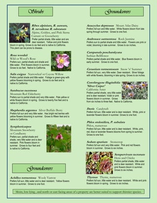 Shrubs                                                                  Groundcovers

                        Ribes alpinium, R. aureum,                     Anacyclus depressus Mount Atlas Daisy
                        R. nevadense R. odoratum                       Prefers full sun and little water. White flowers bloom from late
                        Alpine, Golden, and Pink Sierra                spring through summer. Grows to one foot.
                        Currant or Gooseberry
                       Prefer partial shade, little water and are      Androsace sarmentosa Rock Jasmine
                       deer resistant. Yellow and pink flowers         Prefers sun to partial shade and little water. Flowers are pink or
bloom in spring. Grows to six feet and is native to California.        violet, blooming in late summer. Grows to six inches.
This plant can be prone to disease.
                                                                       Campanula poscharskyana
Rosa woodsii                                                           Serbian Bellflower
Wild or Wood’s Rose                                                    Prefers partial shade and little water. Blue flowers bloom in
Prefers sun, partial shade and shade and                               early summer. Grows to one foot.
little water. Pink flowers bloom in summer.
Grows to six feet. Native to California.
                                                                       Cerastium tormentosum Snow ’n’ Summer
                                                                       Prefers full sun, very little water. Deer resistant. Silver foliage
Salix exigua Narrowleaf or Coyote Willow                               with white flowers, blooming in late spring. Grows to six inches.
Prefers partial shade and little water. Foliage is green-grey with
yellow flowers blooming in spring. Grows to six feet and is
native to California.                                                  Corethrogyne filaginifolia
                                                                       'Silver Carpet'
Sambucus racemosa                                                      California Aster
Mountain Red Elderberry                                                Prefers partial shade, very little water
                                                                       and is deer resistant. Violet or pink
Prefers sun to partial shade and very little water. Pale yellow or
                                                                       flowers bloom in summer. Grows
white flowers bloom in spring. Grows to twenty five feet and is
                                                                       from six inches to three feet. Native to California.
native to California.

Shepherdia argentea Silver Buffalo Berry                               Iberis Candytuft
                                                                       Prefers full sun, little water and is deer resistant. White, pink or
Prefers full sun and very little water. Has bright red berries with
                                                                       lavender flowers bloom in summer. Grows to one foot.
yellow flowers blooming in summer. Grows to fifteen feet and is
native to California.
                                                                       Phlox stolonifera, P. subulata
Symphoricarpos                                                         Phlox, numerous
                                                                       Prefers full sun, little water and is deer resistant. White, pink,
Mountain Snowberry
                                                                       red, blue or lavender flowers blooms from spring to summer.
or Coralberry                                                          Grows to one foot.
Prefers sun, partial shade and
shade, very little water and is deer
resistant. Pink flowers bloom in                                       Sedum spurium Stonecrop
summer. Grows to four feet and                                         Prefers full sun and very little water. Pink and red flowers
is native to California.                                               bloom in summer. Grows to six inches.

                                                                                                       Sempervivum tectorum
                                                                                                       Hens and Chicks
                                                                                                       Prefers partial shade, little water
                                                                                                       and is deer resistant. White and
                   Groundcovers                                                                        pink flowers bloom in summer.
                                                                                                       Grows to six inches.


Achillea tormentosa Wooly Yarrow                                       Thymus Thyme, numerous
Prefers full sun, little water and is deer resistant. Yellow flowers   Prefers full sun, little water and is deer resistant. White and pink
bloom in summer. Grows to one foot.                                    flowers bloom in spring. Grows to six inches.


      Moist, low-lying , and north or east facing areas of a property are better suited to support thirstier species.
 