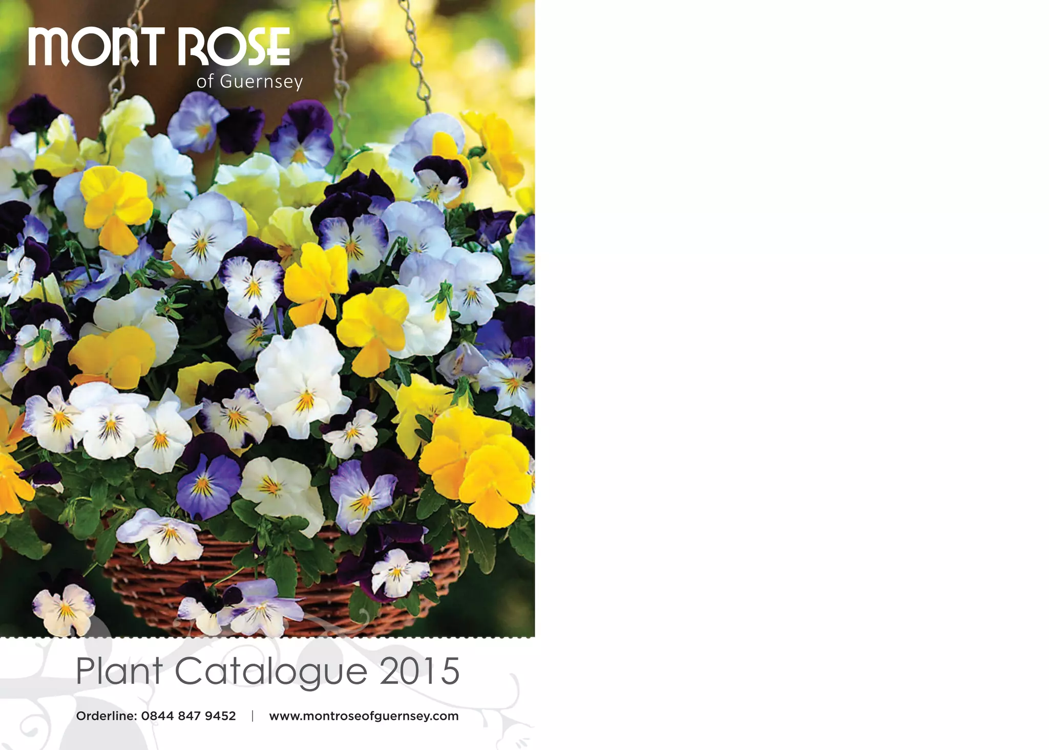 Mont Rose of Guernsey Catalogue initial design spreads PDF