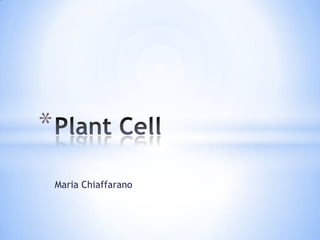 Maria Chiaffarano Plant Cell 