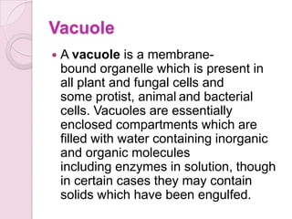 Vacuole
   A vacuole is a membrane-
    bound organelle which is present in
    all plant and fungal cells and
    some protist, animal and bacterial
    cells. Vacuoles are essentially
    enclosed compartments which are
    filled with water containing inorganic
    and organic molecules
    including enzymes in solution, though
    in certain cases they may contain
    solids which have been engulfed.
 