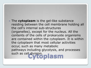    The cytoplasm is the gel-like substance
    residing between the cell membrane holding all
    the cell's internal sub-structures
    (organelles), except for the nucleus. All the
    contents of the cells of prokaryote organisms
    are contained within the cytoplasm. It is within
    the cytoplasm that most cellular activities
    occur, such as many metabolic
    pathways including glycolysis, and processes
    such as cell division.
              Cytoplasm
 