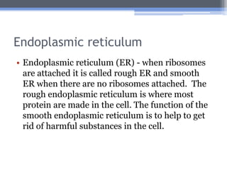 Endoplasmic reticulum
• Endoplasmic reticulum (ER) - when ribosomes
  are attached it is called rough ER and smooth
  ER when there are no ribosomes attached. The
  rough endoplasmic reticulum is where most
  protein are made in the cell. The function of the
  smooth endoplasmic reticulum is to help to get
  rid of harmful substances in the cell.
 