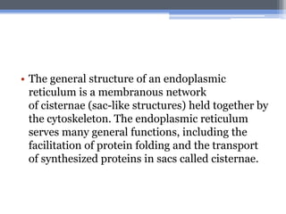 • The general structure of an endoplasmic
  reticulum is a membranous network
  of cisternae (sac-like structures) held together by
  the cytoskeleton. The endoplasmic reticulum
  serves many general functions, including the
  facilitation of protein folding and the transport
  of synthesized proteins in sacs called cisternae.
 