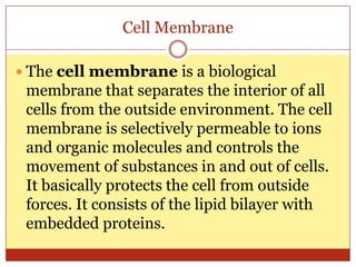Cell Membrane

 The cell membrane is a biological
 membrane that separates the interior of all
 cells from the outside environment. The cell
 membrane is selectively permeable to ions
 and organic molecules and controls the
 movement of substances in and out of cells.
 It basically protects the cell from outside
 forces. It consists of the lipid bilayer with
 embedded proteins.
 