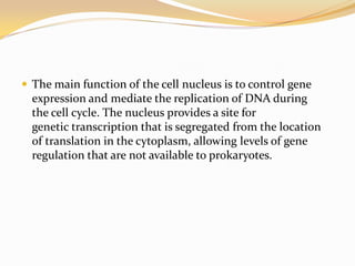 The main function of the cell nucleus is to control gene
  expression and mediate the replication of DNA during
  the cell cycle. The nucleus provides a site for
  genetic transcription that is segregated from the location
  of translation in the cytoplasm, allowing levels of gene
  regulation that are not available to prokaryotes.
 