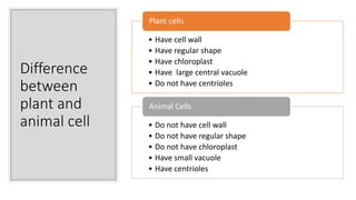Difference
between
plant and
animal cell
• Have cell wall
• Have regular shape
• Have chloroplast
• Have large central vacuole
• Do not have centrioles
Plant cells
• Do not have cell wall
• Do not have regular shape
• Do not have chloroplast
• Have small vacuole
• Have centrioles
Animal Cells
 