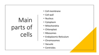 Main
parts of
cells
• Cell membrane
• Cell wall
• Nucleus
• Cytoplasm
• Mitochondria
• Chloroplast
• Ribosomes
• Endoplasmic Reticulum
• Chromosomes
• Vacuole
• Centrioles
 