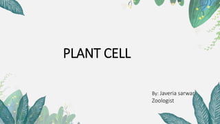 PLANT CELL
By: Javeria sarwar
Zoologist
 
