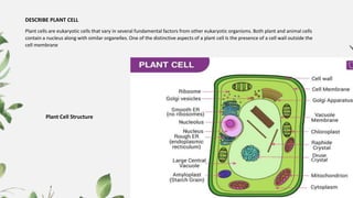 DESCRIBE PLANT CELL
Plant cells are eukaryotic cells that vary in several fundamental factors from other eukaryotic organisms. Both plant and animal cells
contain a nucleus along with similar organelles. One of the distinctive aspects of a plant cell Is the presence of a cell wall outside the
cell membrane
Plant Cell Structure
 