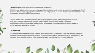Plant Cell Structure :Plant cell structure includes various components
Cell Wall :It is a rigid layer which is composed of polysaccharides cellulose, pectin and hemicellulose. It is located outside the cell
membrane. It also comprises glycoproteins and polymers such as lignin, cutin, or suberin. The primary function of the cell wall is
to protect and provide structural support to the cell.
The plant cell wall is also involved in protecting the cell against mechanical stress and providing form and structure
to the cell. It also filters the molecules passing in and out of it.The formation of the cell wall is guided by
microtubules. It consists of three layers, namely, primary, secondary and the middle lamella. The primary cell wall is
formed by cellulose laid down by enzymes.
Cell membrane
It is the semi-permeable membrane that is present within the cell wall. It is composed of a thin layer of protein and fat.The
cell membrane plays an important role in regulating the entry and exit of specific substances within the cell.For instance, cell
membrane keeps toxins from entering inside, while nutrients and essential minerals are transported across.
 