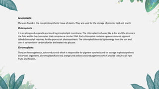 Leucoplasts :
They are found in the non-photosynthetic tissue of plants. They are used for the storage of protein, lipid and starch.
Chloroplasts :
It is an elongated organelle enclosed by phospholipid membrane. The chloroplast is shaped like a disc and the stroma is
the fluid within the chloroplast that comprises a circular DNA. Each chloroplast contains a green coloured pigment
called chlorophyll required for the process of photosynthesis. The chlorophyll absorbs light energy from the sun and
uses it to transform carbon dioxide and water into glucose.
Chromoplasts:
They are heterogeneous, coloured plastid which is responsible for pigment synthesis and for storage in photosynthetic
eukaryotic organisms. Chromoplasts have red, orange and yellow coloured pigments which provide colour to all ripe
fruits and flowers.
 