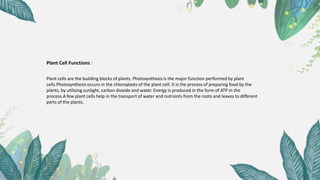 Plant Cell Functions :
Plant cells are the building blocks of plants. Photosynthesis is the major function performed by plant
cells.Photosynthesis occurs in the chloroplasts of the plant cell. It is the process of preparing food by the
plants, by utilising sunlight, carbon dioxide and water. Energy is produced in the form of ATP in the
process.A few plant cells help in the transport of water and nutrients from the roots and leaves to different
parts of the plants.
 