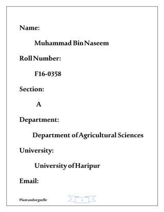 Plantandorgnelle 1
Name:
Muhammad BinNaseem
RollNumber:
F16-0358
Section:
A
Department:
Department ofAgricultural Sciences
University:
UniversityofHaripur
Email:
 