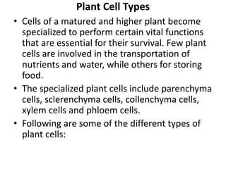 Plant Cell Types
• Cells of a matured and higher plant become
specialized to perform certain vital functions
that are essential for their survival. Few plant
cells are involved in the transportation of
nutrients and water, while others for storing
food.
• The specialized plant cells include parenchyma
cells, sclerenchyma cells, collenchyma cells,
xylem cells and phloem cells.
• Following are some of the different types of
plant cells:
 