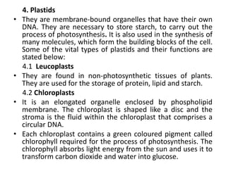 4. Plastids
• They are membrane-bound organelles that have their own
DNA. They are necessary to store starch, to carry out the
process of photosynthesis. It is also used in the synthesis of
many molecules, which form the building blocks of the cell.
Some of the vital types of plastids and their functions are
stated below:
4.1 Leucoplasts
• They are found in non-photosynthetic tissues of plants.
They are used for the storage of protein, lipid and starch.
4.2 Chloroplasts
• It is an elongated organelle enclosed by phospholipid
membrane. The chloroplast is shaped like a disc and the
stroma is the fluid within the chloroplast that comprises a
circular DNA.
• Each chloroplast contains a green coloured pigment called
chlorophyll required for the process of photosynthesis. The
chlorophyll absorbs light energy from the sun and uses it to
transform carbon dioxide and water into glucose.
 