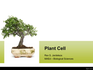 Plant Cell
Rex S. Jardeleza
MAEd – Biological Sciences

 