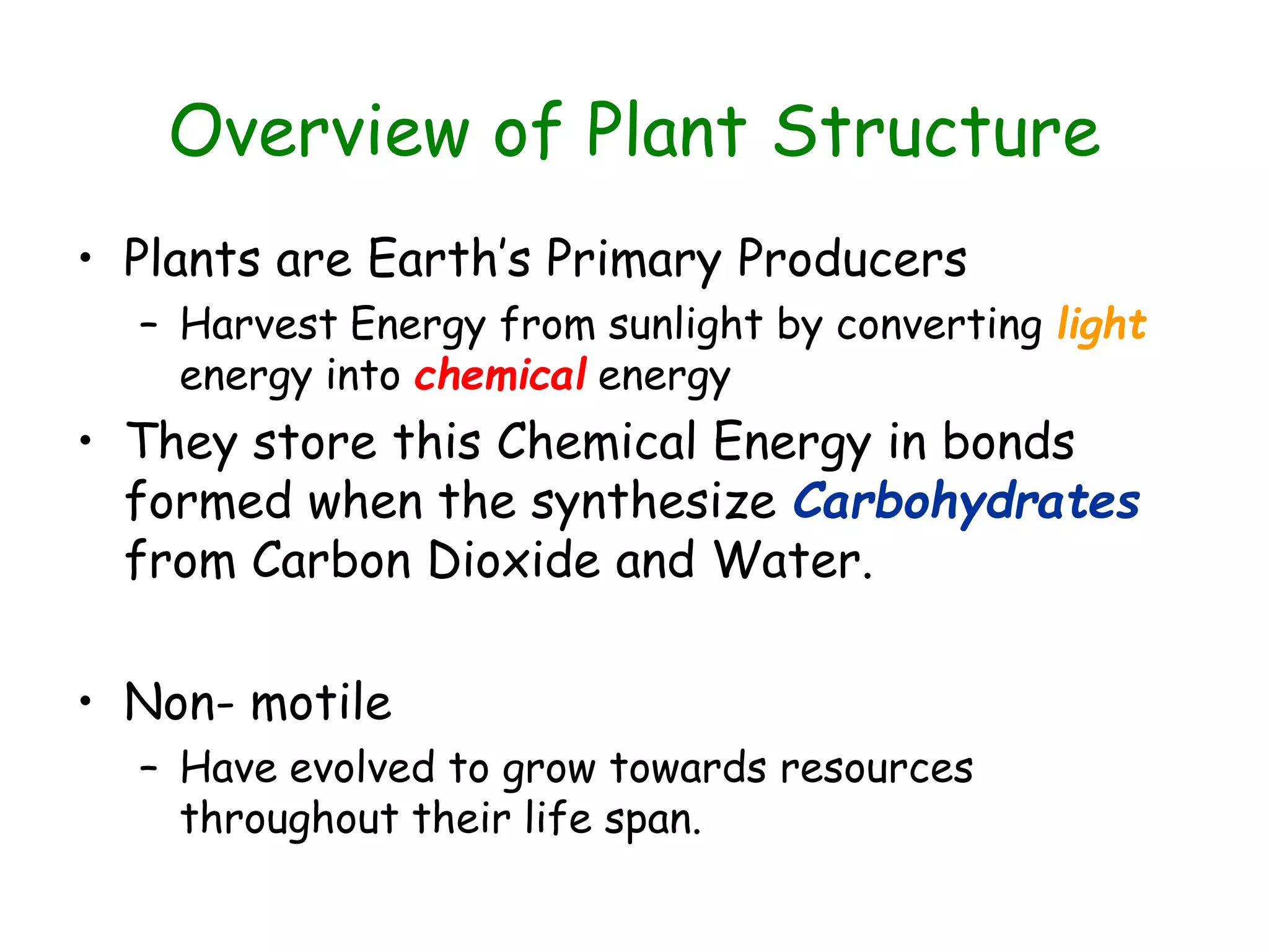 Plant Cell Structure and Function.pdf