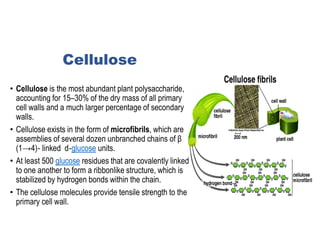 Plant cell wall.pdf........................ | PDF