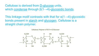 Cellulose is derived from D-glucose units,
which condense through β(1→4)-glycosidic bonds.
This linkage motif contrasts with that for α(1→4)-glycosidic
bonds present in starch and glycogen. Cellulose is a
straight chain polymer.
Dr. L. Joelri Michael Raj SXC
 