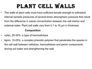 • The walls of plant cells must have sufficient tensile strength to withstand
internal osmotic pressures of several times atmospheric pressure that result
from the difference in solute concentration between the cell interior and
external water. Plant cell walls vary from 0.1 to 10 µm in thickness
Composition
• xylan, 20-35%, a type of hemicellulose
• lignin, 10-25%, a complex phenolic polymer that penetrates the spaces in
the cell wall between cellulose, hemicellulose and pectin components,
driving out water and strengthening the wall.
plant cell walls
 