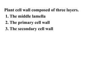 Components of Plant Cell Wall
Plant cell wall composed of three layers.
1. The middle lamella
2. The primary cell wall
3. The secondary cell wall
 