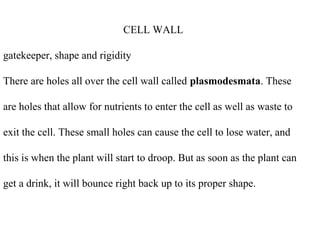 CELL WALL
gatekeeper, shape and rigidity
There are holes all over the cell wall called plasmodesmata. These
are holes that allow for nutrients to enter the cell as well as waste to
exit the cell. These small holes can cause the cell to lose water, and
this is when the plant will start to droop. But as soon as the plant can
get a drink, it will bounce right back up to its proper shape.
 