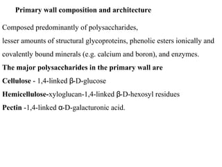 Primary wall composition and architecture
Composed predominantly of polysaccharides,
lesser amounts of structural glycoproteins, phenolic esters ionically and
covalently bound minerals (e.g. calcium and boron), and enzymes.
The major polysaccharides in the primary wall are
Cellulose - 1,4-linked -β D-glucose
Hemicellulose-xyloglucan-1,4-linked -β D-hexosyl residues
Pectin -1,4-linked -α D-galacturonic acid.
 
