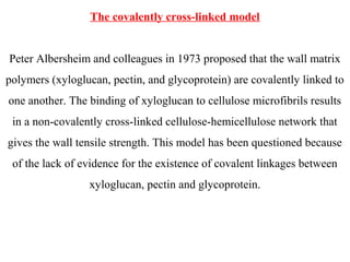 The covalently cross-linked model
Peter Albersheim and colleagues in 1973 proposed that the wall matrix
polymers (xyloglucan, pectin, and glycoprotein) are covalently linked to
one another. The binding of xyloglucan to cellulose microfibrils results
in a non-covalently cross-linked cellulose-hemicellulose network that
gives the wall tensile strength. This model has been questioned because
of the lack of evidence for the existence of covalent linkages between
xyloglucan, pectin and glycoprotein.
 