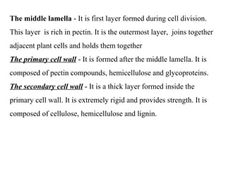The middle lamella - It is first layer formed during cell division.
This layer is rich in pectin. It is the outermost layer, joins together
adjacent plant cells and holds them together
The primary cell wall - It is formed after the middle lamella. It is
composed of pectin compounds, hemicellulose and glycoproteins.
The secondary cell wall - It is a thick layer formed inside the
primary cell wall. It is extremely rigid and provides strength. It is
composed of cellulose, hemicellulose and lignin.
 