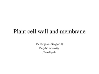 Plant cell wall and membrane
Dr. Baljinder Singh Gill
Panjab University
Chandigarh
 