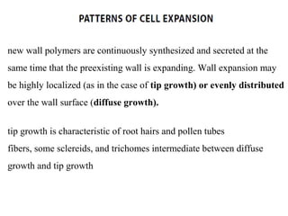 new wall polymers are continuously synthesized and secreted at the
same time that the preexisting wall is expanding. Wall expansion may
be highly localized (as in the case of tip growth) or evenly distributed
over the wall surface (diffuse growth).
tip growth is characteristic of root hairs and pollen tubes
fibers, some sclereids, and trichomes intermediate between diffuse
growth and tip growth
 