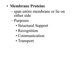 • Membrane Proteins
– span entire membrane or lie on
either side
– Purposes
• Structural Support
• Recognition
• Communication
• Transport
 