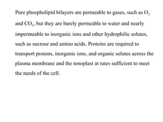 Pure phospholipid bilayers are permeable to gases, such as O2
and CO2, but they are barely permeable to water and nearly
impermeable to inorganic ions and other hydrophilic solutes,
such as sucrose and amino acids. Proteins are required to
transport protons, inorganic ions, and organic solutes across the
plasma membrane and the tonoplast at rates sufficient to meet
the needs of the cell.
 