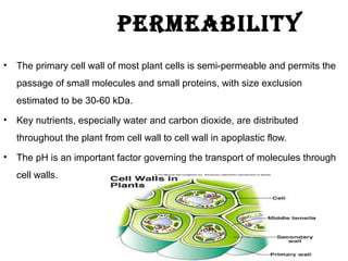 • The primary cell wall of most plant cells is semi-permeable and permits the
passage of small molecules and small proteins, with size exclusion
estimated to be 30-60 kDa.
• Key nutrients, especially water and carbon dioxide, are distributed
throughout the plant from cell wall to cell wall in apoplastic flow.
• The pH is an important factor governing the transport of molecules through
cell walls.
permeability
 