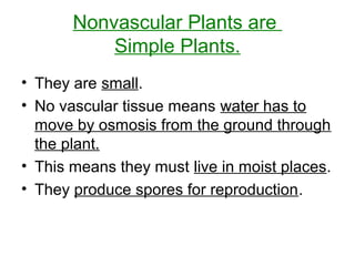 Nonvascular Plants are
Simple Plants.
• They are small.
• No vascular tissue means water has to
move by osmosis from the ground through
the plant.
• This means they must live in moist places.
• They produce spores for reproduction.
 
