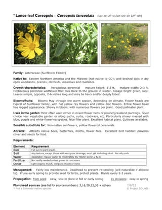 * Lance-leaf Coreopsis – Coreopsis lanceolata (kor-ee-OP-sis lan-see-oh-LAY-tah)
Family: Asteraceae (Sunflower Family)
Native to: Eastern Northern America and the Midwest (not native to CO); well-drained soils in dry
open woodlands, prairies, old fields, meadows and roadsides.
Growth characteristics: herbaceous perennial mature height: 1-3 ft. mature width: 2-3 ft.
Herbaceous perennial wildflower that dies back to the ground in winter. Foliage bright green, lacy.
Leaves simple, opposite, 2-6 inches long and may be hairy and/or deeply lobed.
Blooms/fruits: Blooms May through the warm season, depending on climate. Flower heads are
typical of Sunflower family, with flat yellow ray flowers and yellow disc flowers. Entire flower head
has ragged appearance. Showy in bloom, with numerous flowers per plant. Good pollinator plant.
Uses in the garden: Most often used either in mixed flower beds or prairie/grassland plantings. Good
choice near vegetable garden or along paths, curbs, roadways, etc. Particularly showy massed with
blue, purple and white-flowering species. Nice filler plant. Excellent habitat plant. Cultivars available.
Sensible substitute for: Non-native sunflowers, yellow flowered perennials.
Attracts: Attracts native bees, butterflies, moths, flower flies. Excellent bird habitat: provides
cover and seeds for food.
Requirements:
Element Requirement
Sun Full sun to part-shade.
Soil Any texture, except those with very poor drainage; most pH, including alkali. No salty soils
Water Adaptable: regular water to moderately dry (Water Zones 2 & 3).
Fertilizer Not really needed unless grown in containers.
Other Light organic mulch, inorganic mulch or none.
Management: Fairly low maintenance. Deadhead to prevent re-seeding (will naturalize if allowed
to). Prune early spring to provide seed for birds, protect plants. Divide every 2-3 years.
Propagation: from seed: easy; sow in place in fall or early spring by divisions: easy in spring
Plant/seed sources (see list for source numbers): 3,16,20,22,36 + others 7/9/22
* Not a Colorado native species © Project SOUND
 