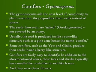 Conifers - Gymnosperms
   The gymnosperms add the next level of complexity to
    plant evolution: they reproduce from seeds instead of
    spores.
   The seeds, however, are "naked" (Greek: gummnos) --
    not covered by an ovary.
   Usually, the seed is produced inside a cone-like
    structure such as a pine cone hence the name "conifer."
   Some conifers, such as the Yew and Ginko, produce
    their seeds inside a berry-like structure.
   Conifers are fairly easy to identify: In addition to the
    aforementioned cones, these trees and shrubs typically
    have needle-like, scale-like or awl-like leaves.
   And they never have flowers.
 