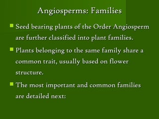 Angiosperms: Families
 Seed bearing plants of the Order Angiosperm

 are further classified into plant families.
 Plants belonging to the same family share a

 common trait, usually based on flower
 structure.
 The most important and common families

 are detailed next:
 