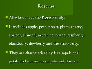 Rosacae

 Also known as the Rose    Family.

 It includes apple, pear, peach, plum, cherry,

  apricot, almond, nectarine, prune, raspberry,

  blackberry, dewberry and the strawberry.

 They are characterised by five sepals and

  petals and numerous carpels and stamen.
 