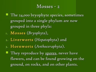 Mosses - 2
    The 24,000 bryophyte species, sometimes
     grouped into a single phylum are now
     grouped in three phyla:
1.   Mosses (Bryophyta),
2.   Liverworts (Hepatophyta) and
3.   Hornworts (Anthoceraphyta).
    They reproduce by spores, never have
     flowers, and can be found growing on the
     ground, on rocks, and on other plants.
 