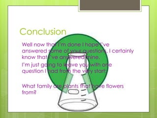 Conclusion
Well now that I’m done I hope I’ve
answered some of your questions, I certainly
know that I’ve answered mine.
I’m just going to leave you with one
question I had from the very start:
What family are plants that have flowers
from?