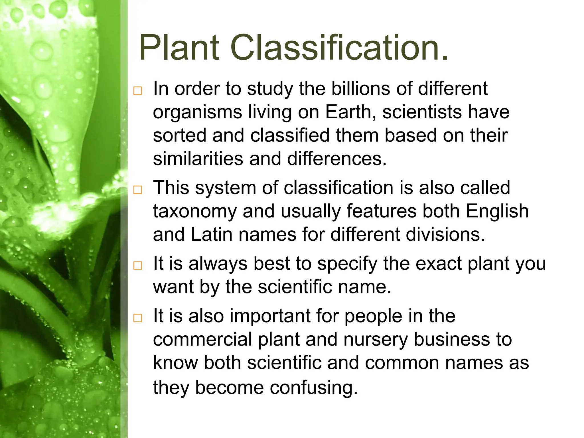 Plant_Classification...................... | PPT