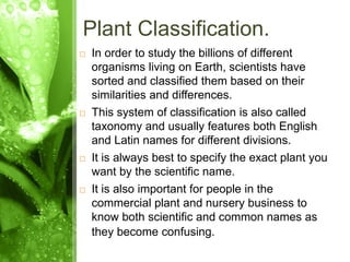Plant_Classification...................... | PPT | Gardening | Home ...