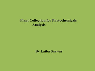 Plant Collection for Phytochemicals
Analysis
By Laiba Sarwar
 