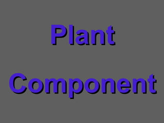 Plant Component 