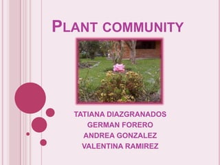 Plant community TATIANA DIAZGRANADOS GERMAN FORERO ANDREA GONZALEZ VALENTINA RAMIREZ 